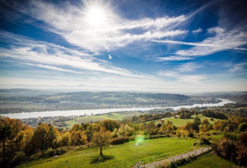 豪华房间, Schachner