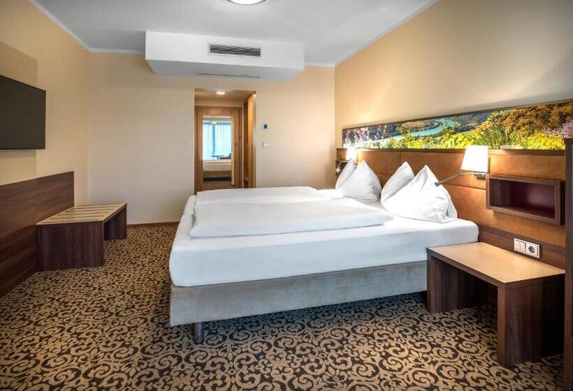 高级大房间, Schachner