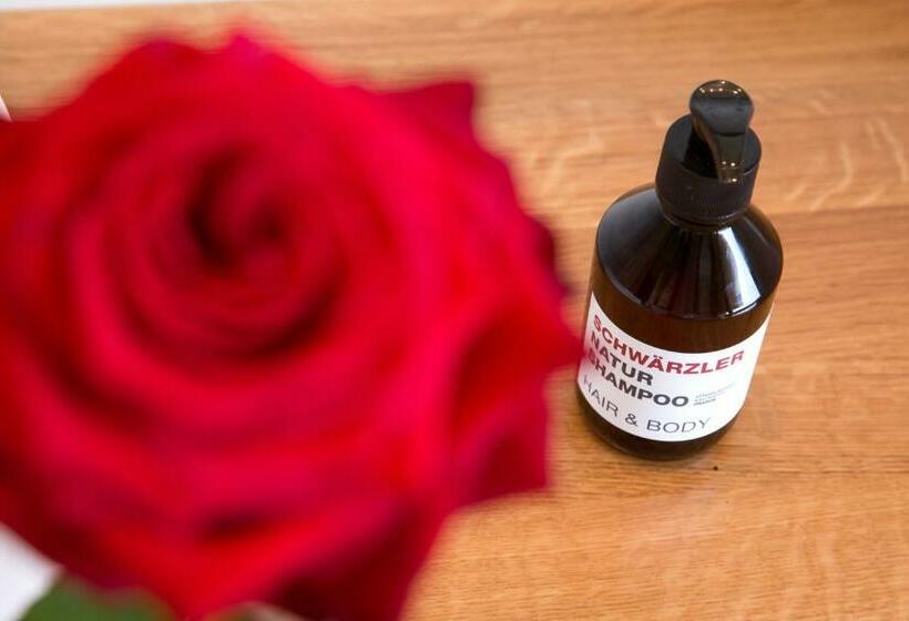 小型套房, Schwarzler