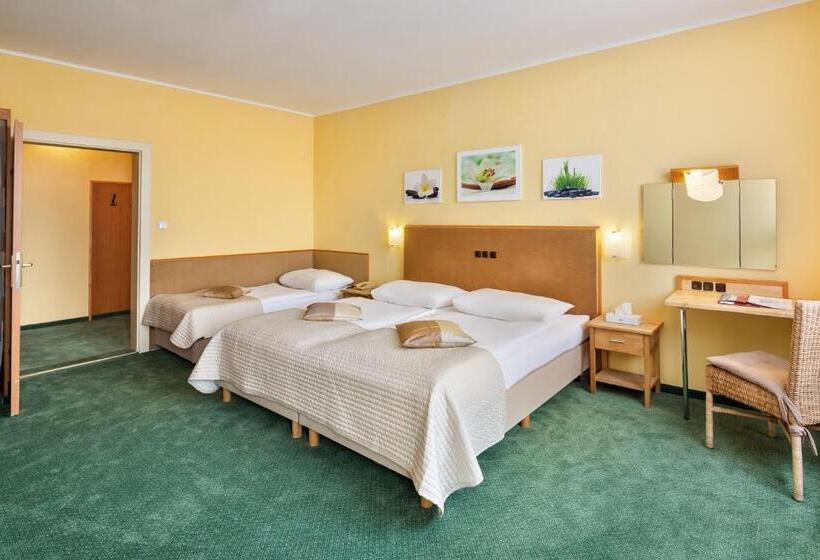 スタンダードトリプルルーム, Zentral