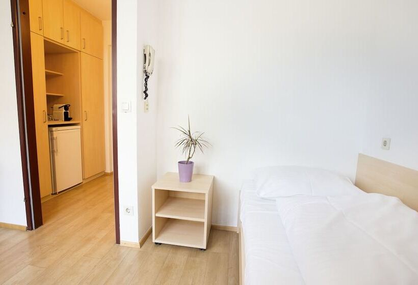 اتاق استاندارد یک نفره, Mynext Riverside Hotel Salzburg