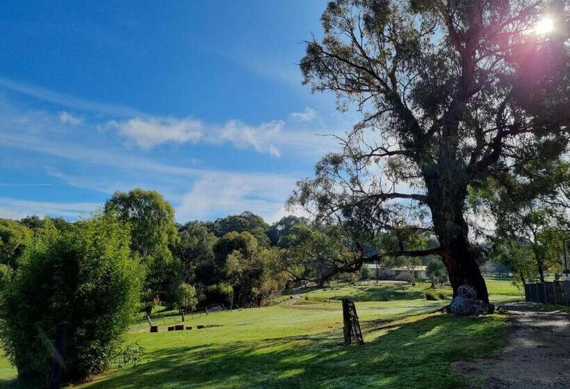 جناح إدارى سرير كينج, Golden Heritage Accommodation