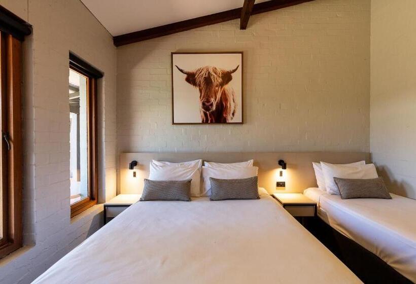 إستوديو قياسى سرير ملكى, Nightcap At Wintersun