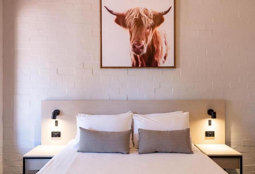 شقة غرفة واحدة, Nightcap At Wintersun