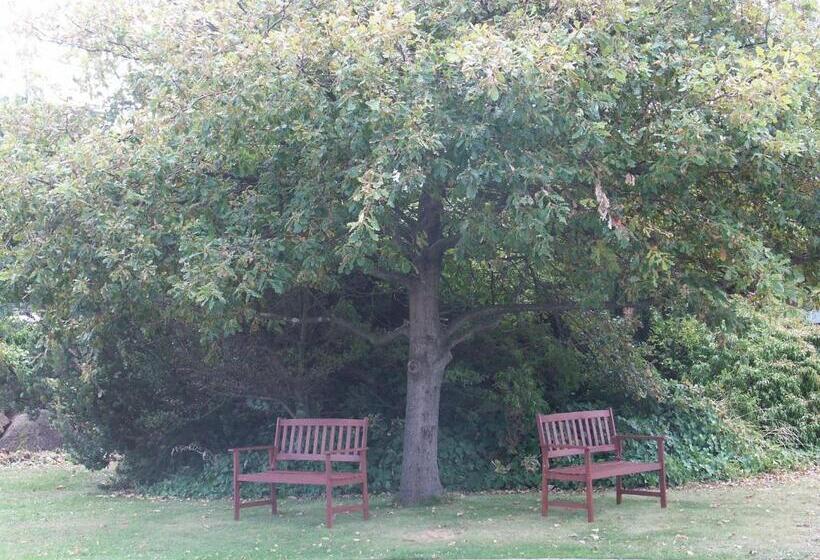 חדר סטנדרט לשלושה, Melaleuca Motel