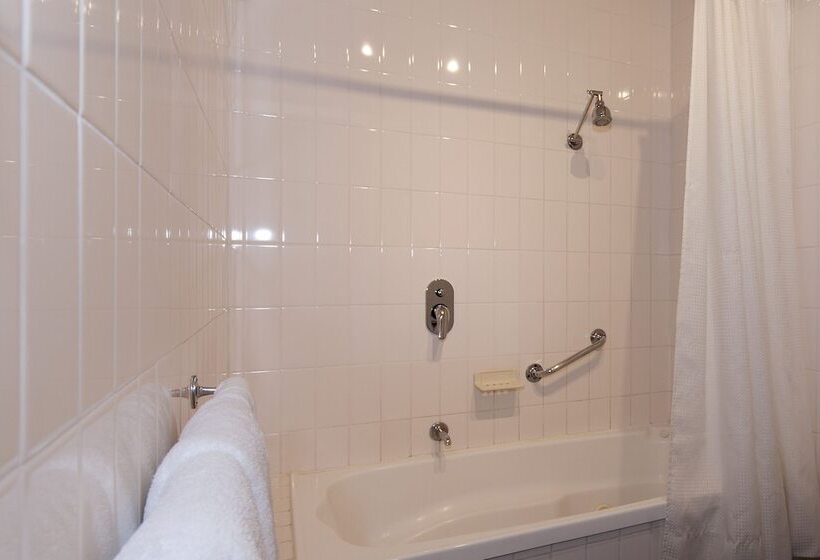 豪华房间, Echuca Nirebo Motel