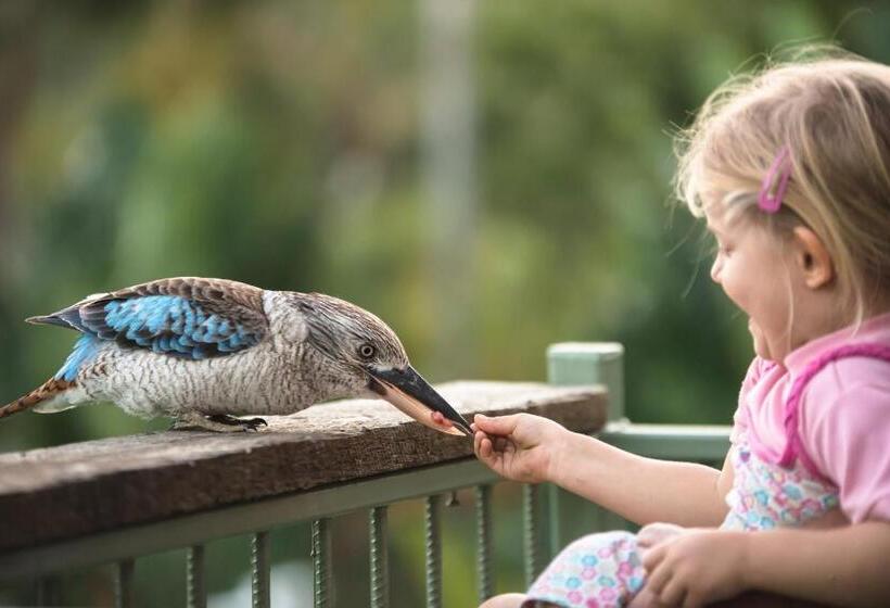 ファミリールーム, Amaroo On Mandalay, Magnetic Island