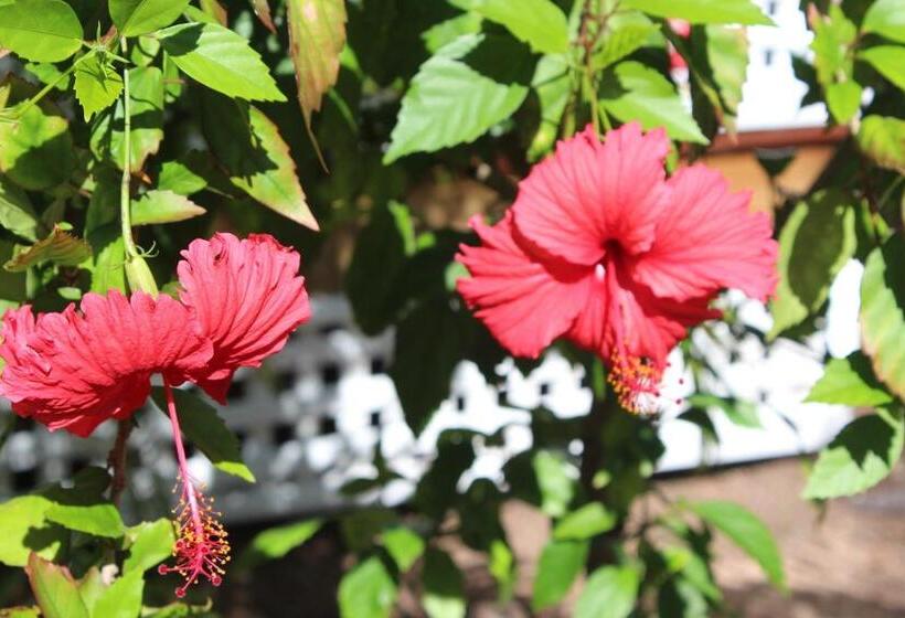 패밀리 룸, Amaroo On Mandalay, Magnetic Island