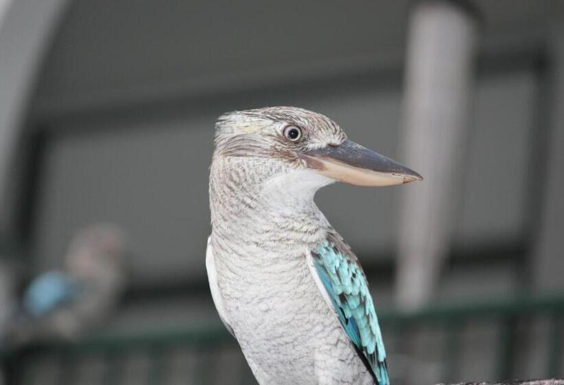 キングサイドベッドのスタンダードワンルーム, Amaroo On Mandalay, Magnetic Island