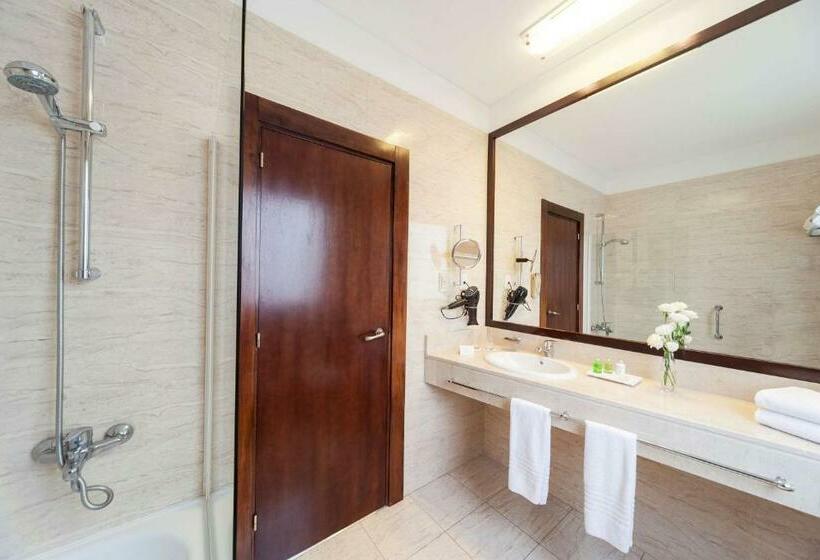 اتاق استاندارد سه نفره, NH City Buenos Aires