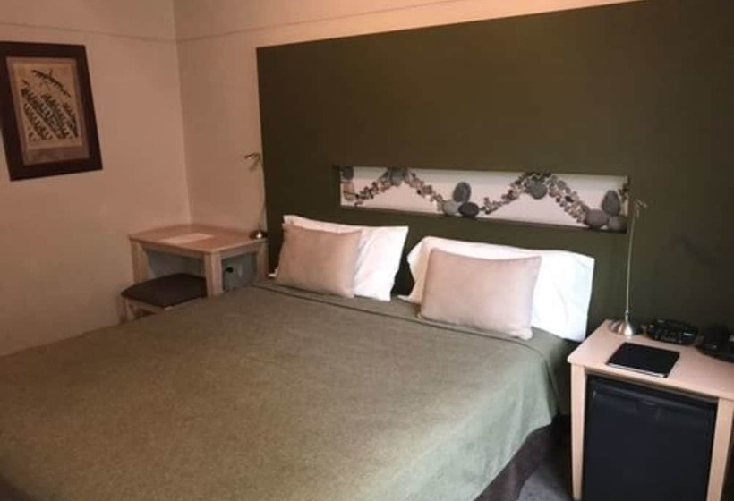 חדר סטנדרט, Raices Aconcagua