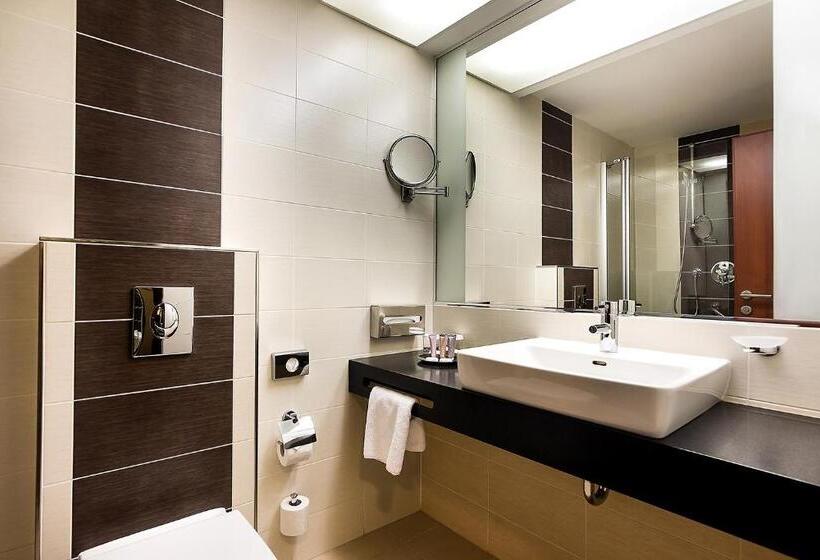 商务房间, International Brno