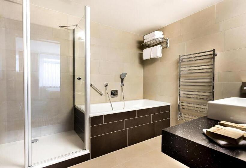 キングサイズベッドのエクゼクティブ, International Brno