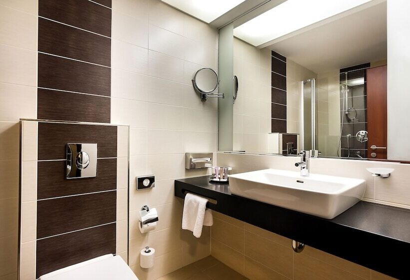 商务房间, International Brno