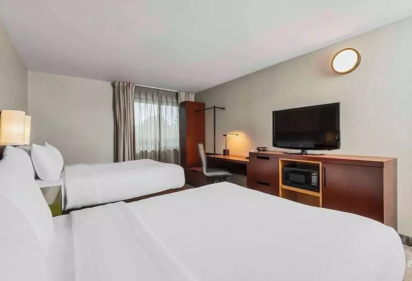 ２ダブルベッドのスタンダードルーム, Comfort Inn