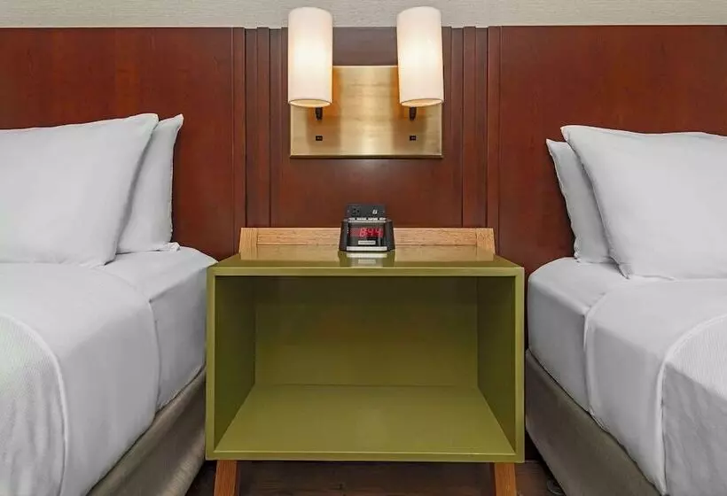 ２ダブルベッドのスタンダードルーム, Comfort Inn