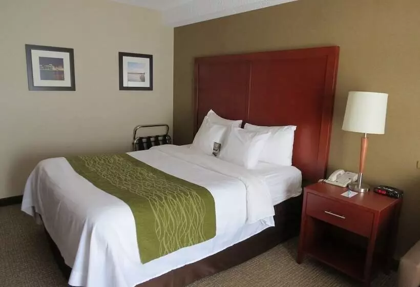 Comfort-huone, Comfort Inn Dartmouth
