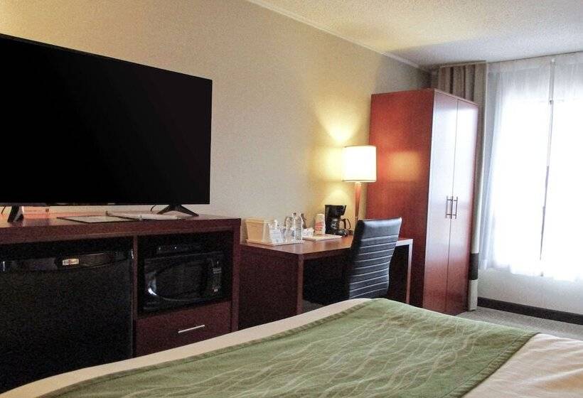 Comfort Værelse, Comfort Inn Dartmouth