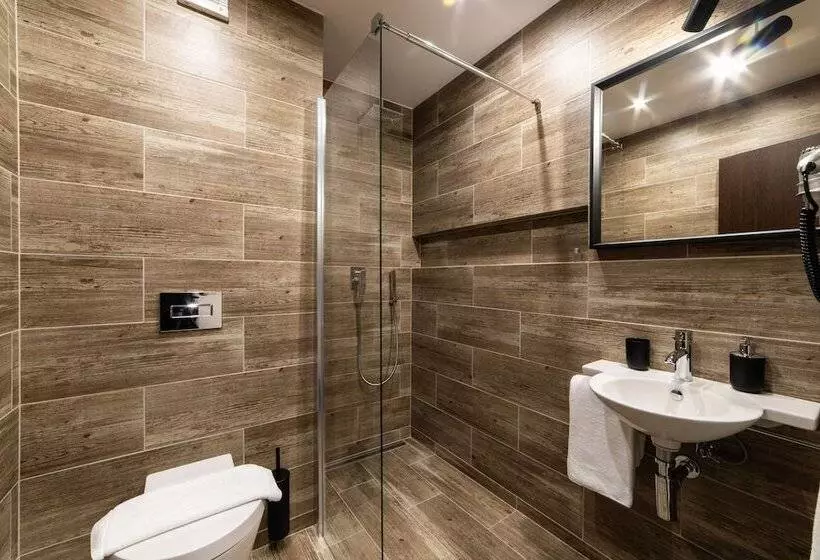 Camera Standard Individuale, Interhotel Tatra