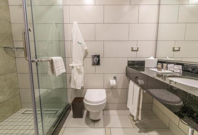 اتاق اجرایی با تخت بزرگ, Los Tajibos, Santa Cruz De La Sierra, A Tribute Portfolio