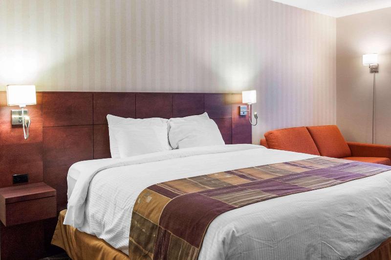 キングサイズベッドのスタンダードルーム, Quality Hotel & Suites