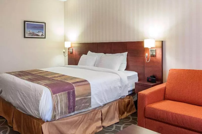 اتاق استاندارد با تخت بزرگ, Quality Hotel & Suites