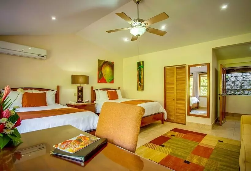 Royal-huone, San Ignacio Resort