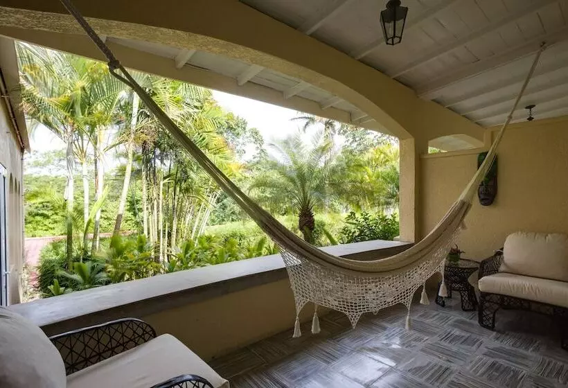 キングサイズベッドのスタンダードルーム, San Ignacio Resort