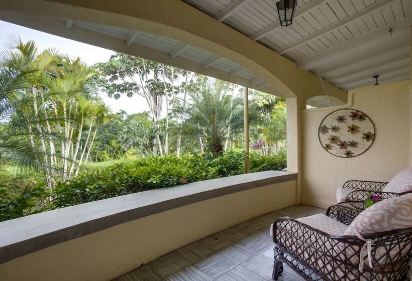 اتاق استاندارد با تخت بزرگ, San Ignacio Resort