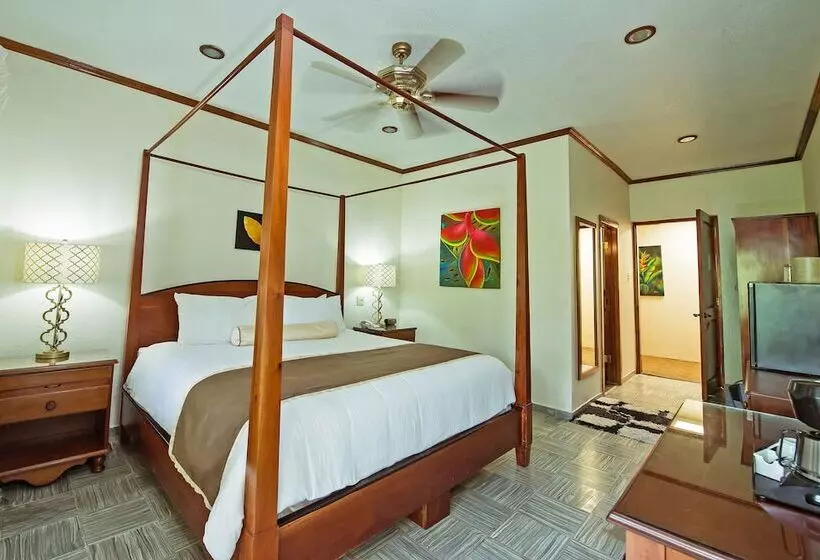 キングサイズベッドのスタンダードルーム, San Ignacio Resort