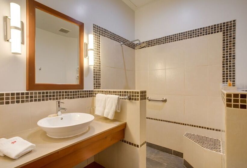 اتاق استاندارد با چشم‌انداز باغ, San Ignacio Resort