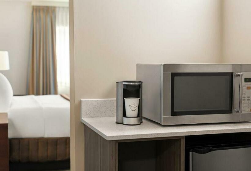 غرفة قياسية سرير كينج, Travelodge By Wyndham Calgary South