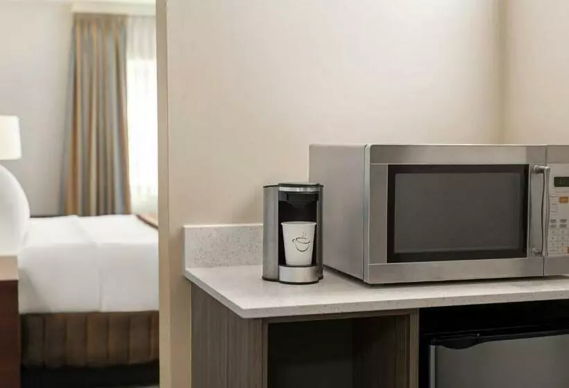 اتاق استاندارد با تخت بزرگ, Travelodge By Wyndham Calgary South