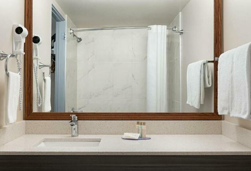 غرفة ديلوكس سرير كينج, Travelodge By Wyndham Calgary South