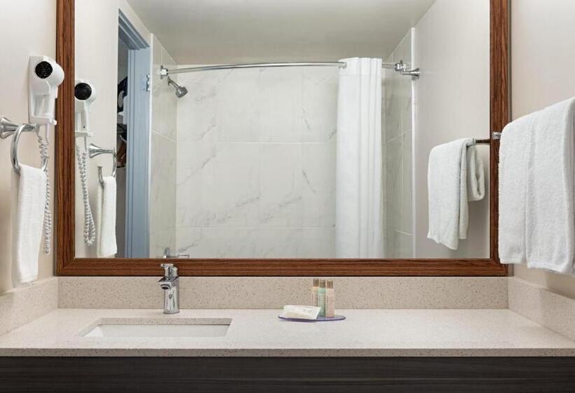 غرفة قياسية سرير كينج لذوى الإحتياجات الخاصة, Travelodge By Wyndham Calgary South