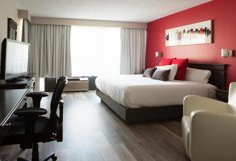 غرفة إدارية سرير كينج, Universel Alma