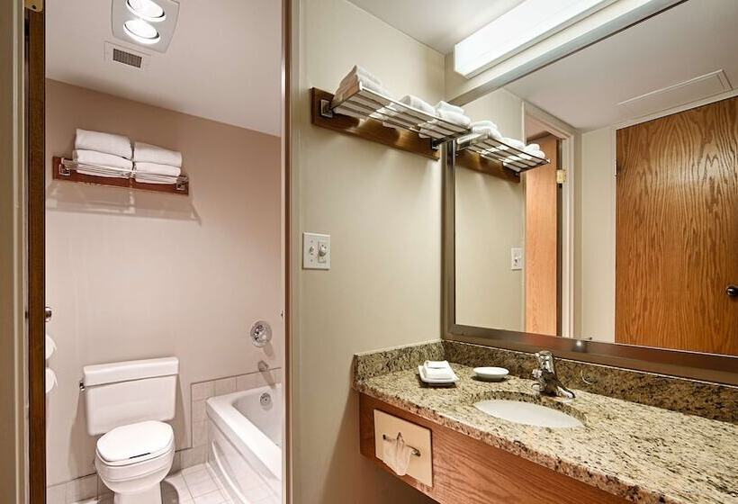 ２ダブルベッドのスタンダードルーム, Best Western Plus Lamplighter Inn & Conference Centre