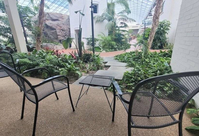 ２ダブルベッドのスタンダードルーム, Best Western Plus Lamplighter Inn & Conference Centre