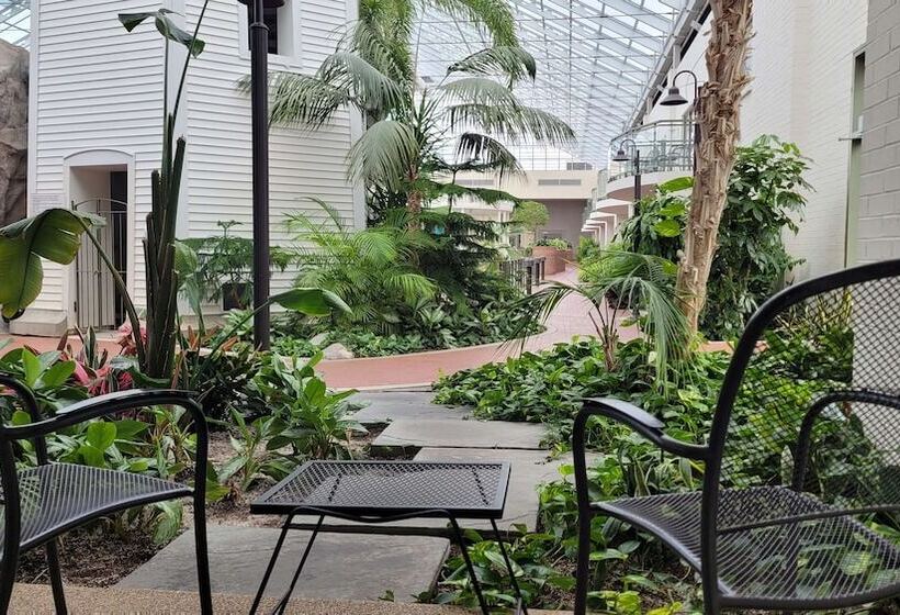 غرفه قياسيه سريرين مزدوجين, Best Western Plus Lamplighter Inn & Conference Centre