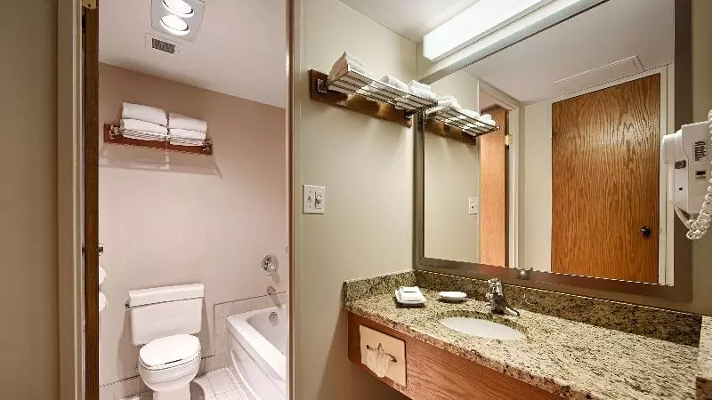 اتاق استاندارد با تخت دو نفره بزرگ, Best Western Plus Lamplighter Inn & Conference Centre