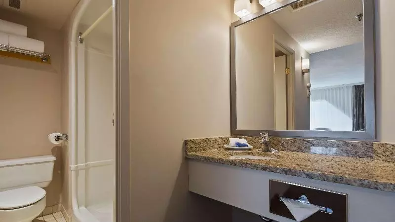 اتاق استاندارد با تخت بزرگ, Best Western Plus Lamplighter Inn & Conference Centre