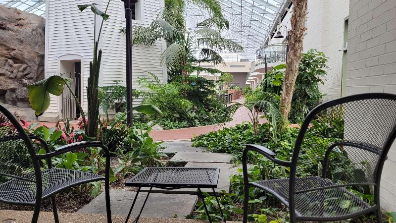 غرفة قياسية سرير ملكى, Best Western Plus Lamplighter Inn & Conference Centre