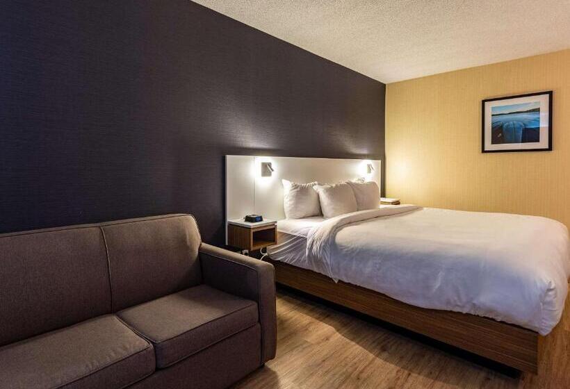 스탠다드 룸 1층, Comfort Inn