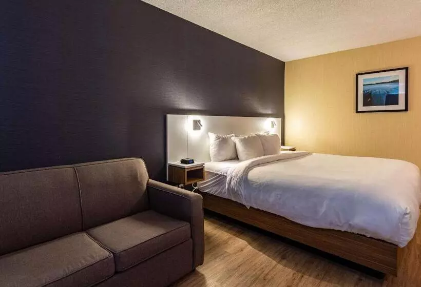 1階のスタンダードルーム, Comfort Inn