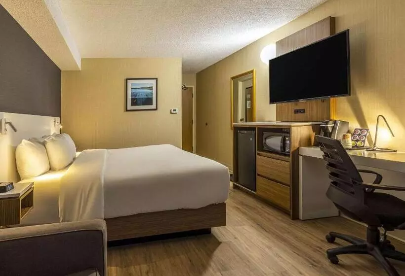 1階のスタンダードルーム, Comfort Inn