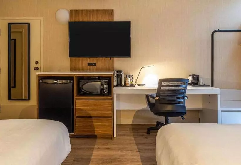 スタンダードルーム, Comfort Inn