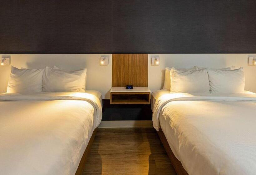 Номер Стандарт, Comfort Inn