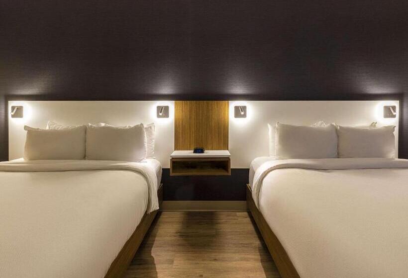 Номер Стандарт, Comfort Inn