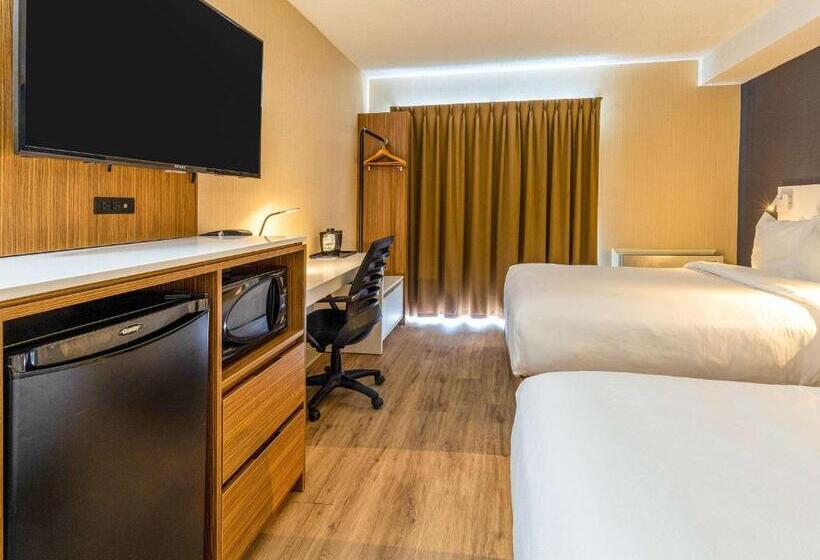 Номер Стандарт, Comfort Inn