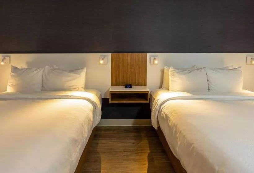 クイーンサイズベッドのスタンダードルーム, Comfort Inn
